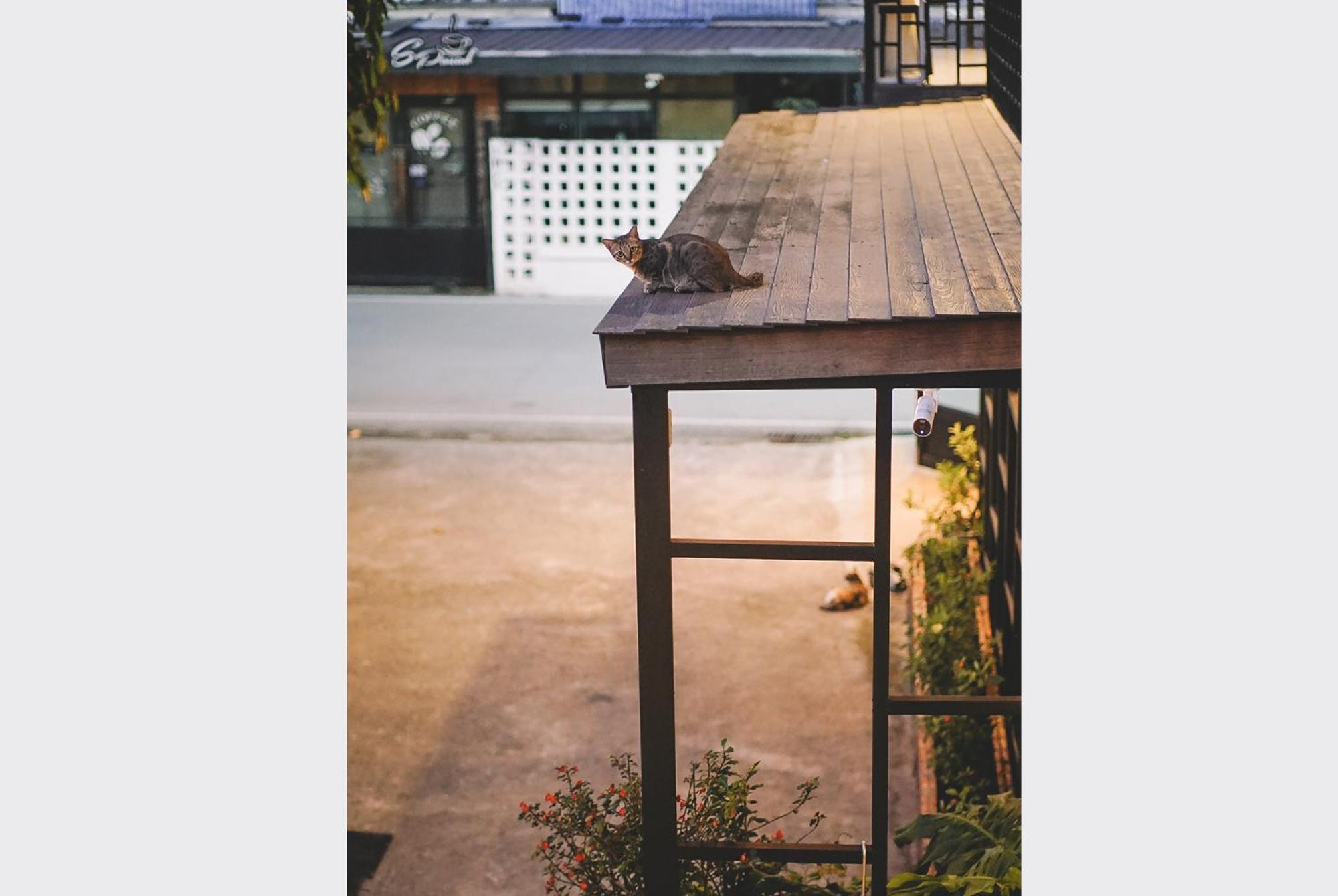 Bed and Breakfast Sleepy House Chiang Rai Zewnętrze zdjęcie